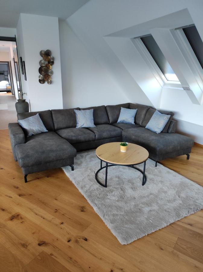 Luxurioeses Penthouse Mit Blick Auf Die Uno-City Und Dem Kaiserwasser. 3Schlafzimmer, 2 Baeder, Privat Lift Ins Apartment Vienna Luaran gambar